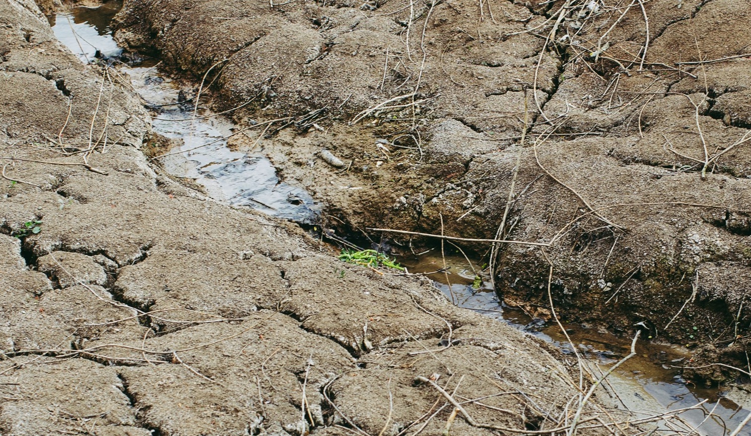 Creek running through barren ground